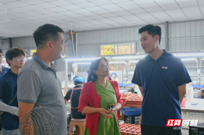 合拍的00后·三下鄉 | 巖園村的“玩具經緯” 一針一線，織就鄉村振興的溫暖圖景