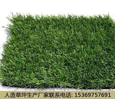 新聞 揭陽人造草坪價(jià)格如何